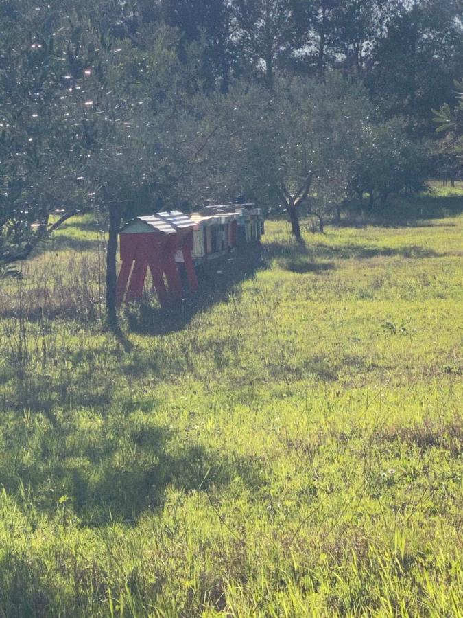 Agriturismo Le Biricoccole Vakantieboerderij *