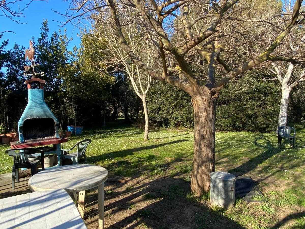 Agriturismo Le Biricoccole * Vada